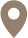 Google Maps Icon